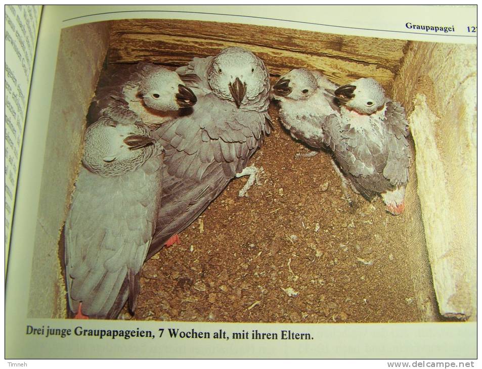 PAPAGEIEN -Lebensweise Arten Zucht - WOLFGANG DE GRAHL- ULMER VERLAG 1985-8 Auflage-fotos- - Animals