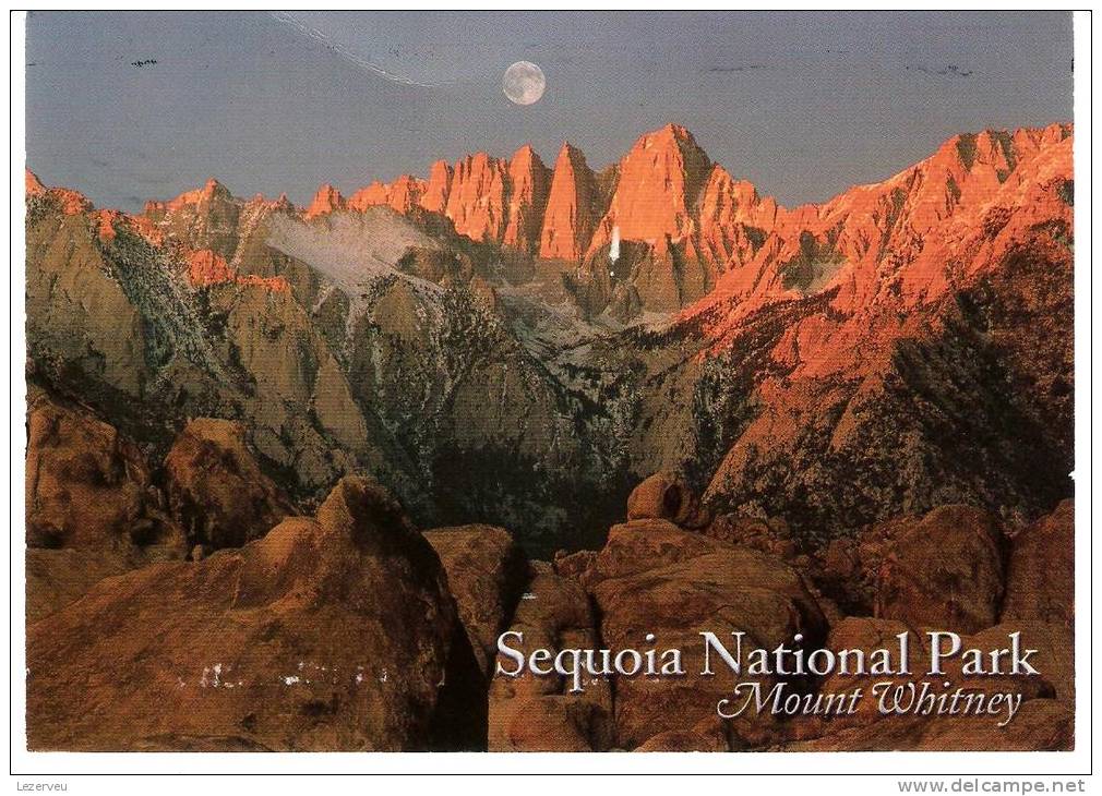 CPM ETATS UNIS SEQUOIA NATIONAL PARK MOUNT WHITNEY - Other & Unclassified