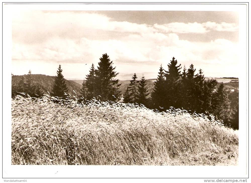 AK Urberg Bei St. Blasien, Schwarzwald 18. 6. 71 7821 DACHSBERG Nach 7981 Weingarten Mit 1 X 20 PF DEUTSCHE BUNDESPOST - St. Blasien