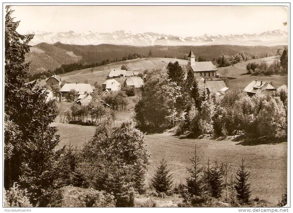 AK 7822 Erholungsort Urberg 970 M ü. M. Bei St. Blasien / Südl. Schwarzwald 6. 9. 73 7821 DACHSBERG Nach Stuttgart - St. Blasien