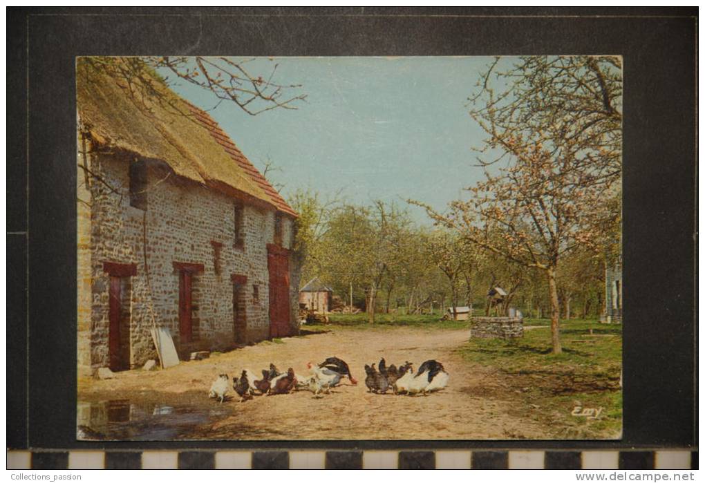 COUR DE FERME LES POULES LA NORMANDIE PITTORESQUE - Autres & Non Classés