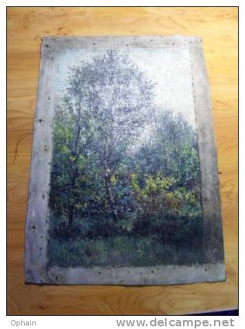 Peinture Sous-bois - Non Signée Mais Attribuée à Richard Viandier ( 1858 - 1949 ) - Dimensions: 27 * 40 Cm - Sans Cadre - Olieverf