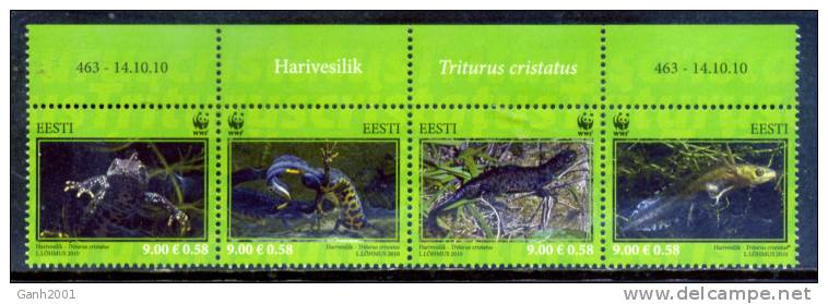 Estonia 2010 / FAUNA WWF  Amphibia Great Crested Newt / C4018 - Otros & Sin Clasificación