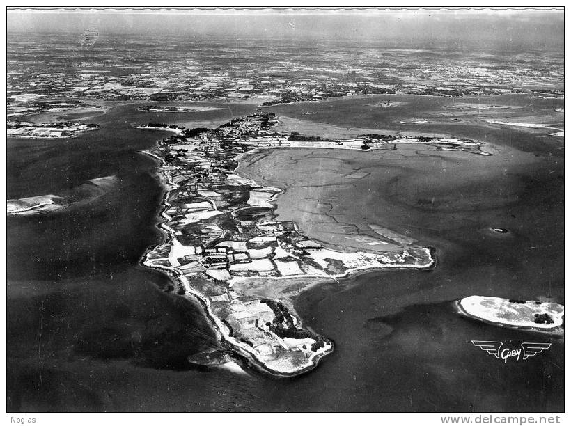 ILE-AUX-MOINES - BELLE CARTE PHOTO D´UNE VUE PANORAMIQUE DE L´ILA - - Ile Aux Moines