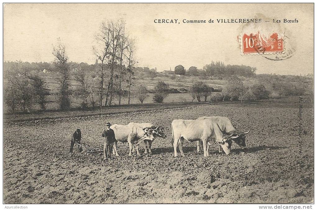 LES BOEUFS . CERCAY - Villecresnes