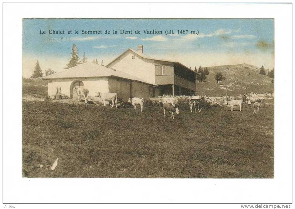 Le Chalet Et Le Sommet De La Dent De Vaulion - Vaulion