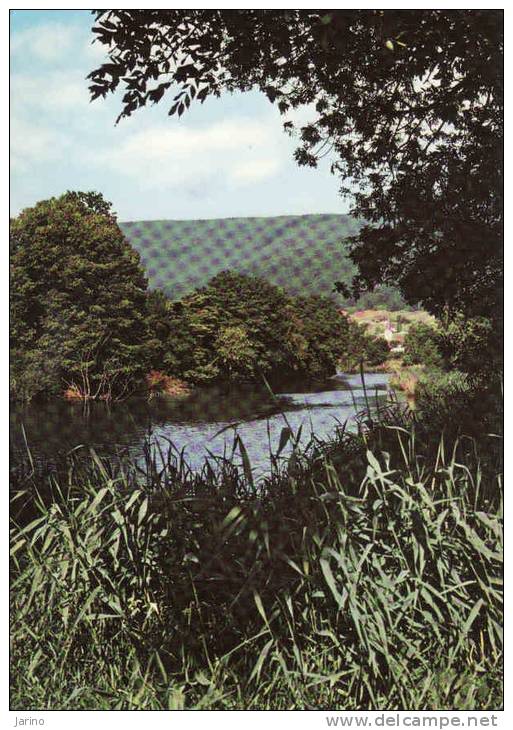 Suisse-NE Neuchatel,La Vieille Thielle, Au Fond L'église De Cressier - Biotope à Sauvegarder, Circule Oui - Cressier