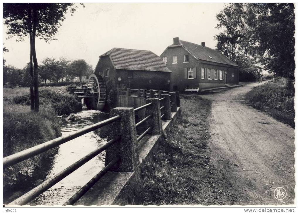 Opoeteren De Watermolen - Maaseik