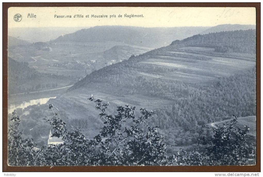 704  Panorama D´Alle Et Mouzaive  Pris De Naglémont - Vresse-sur-Semois