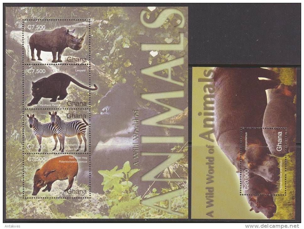 Ghana 2004 Animals Zebras Rhinoceros Hippopotamus, Pantheras Sheet Of 4 + Block MNH - Rhinocéros