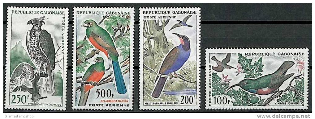 GABON - BIRDS - V1095 - Sonstige & Ohne Zuordnung