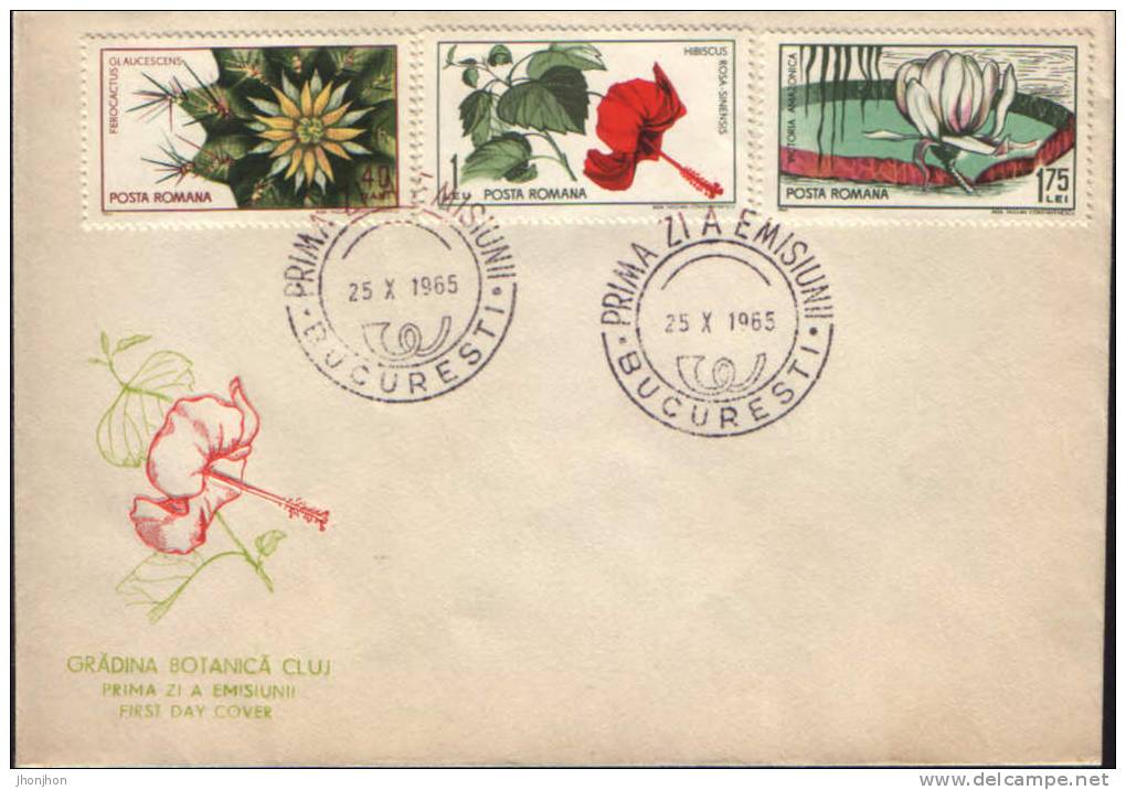 Romania-FDC 1965- Blue Barrel Cactus,  China Rose   And Water Lily - Cactus