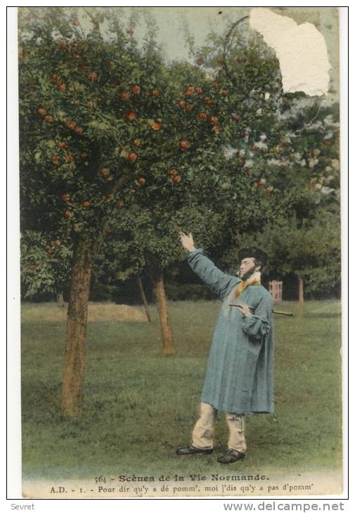 Scènes De La Vie Normande.- Patoisante - Andere & Zonder Classificatie