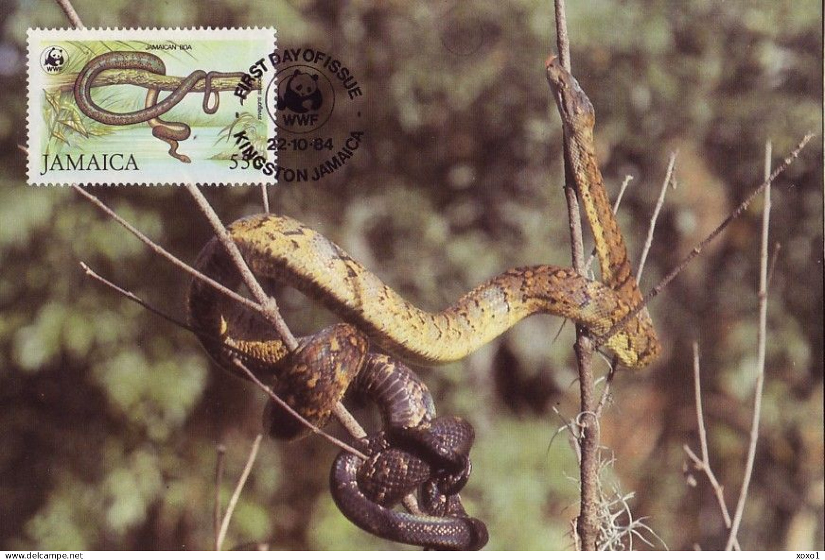 Jamaica 1984 MiNr. 591 - 94 Jamaika WWF REPTILES Jamaican Boa (Epicrates Subflavus) 4v MC 70,00 € - Serpents