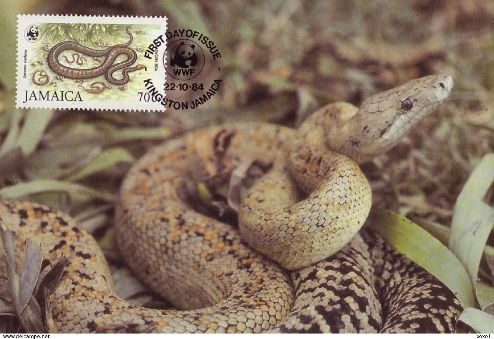 Jamaica 1984 MiNr. 591 - 94 Jamaika WWF REPTILES Jamaican Boa (Epicrates Subflavus) 4v MC 70,00 € - Snakes