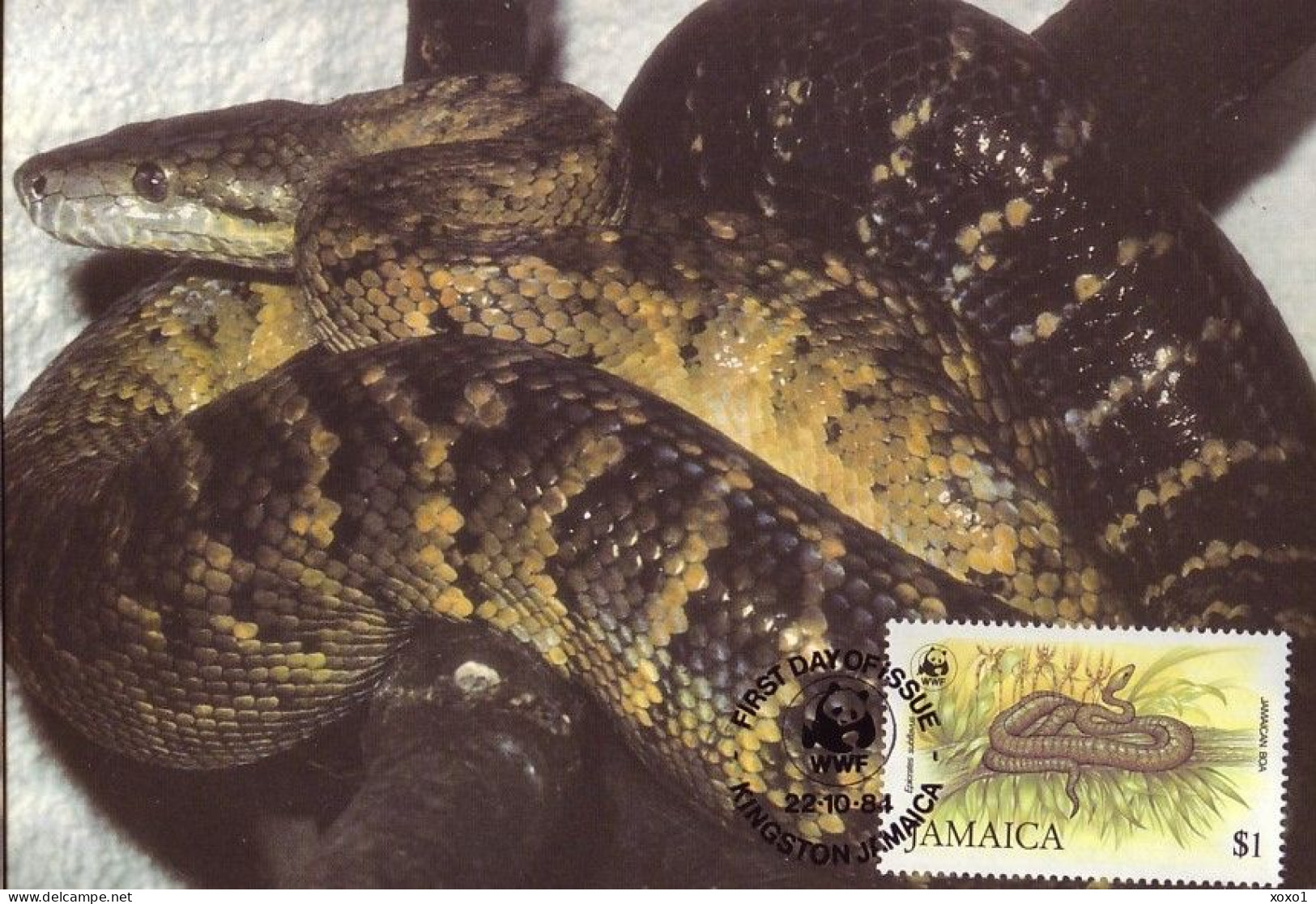 Jamaica 1984 MiNr. 591 - 94 Jamaika WWF REPTILES Jamaican Boa (Epicrates Subflavus) 4v MC 70,00 € - Serpents