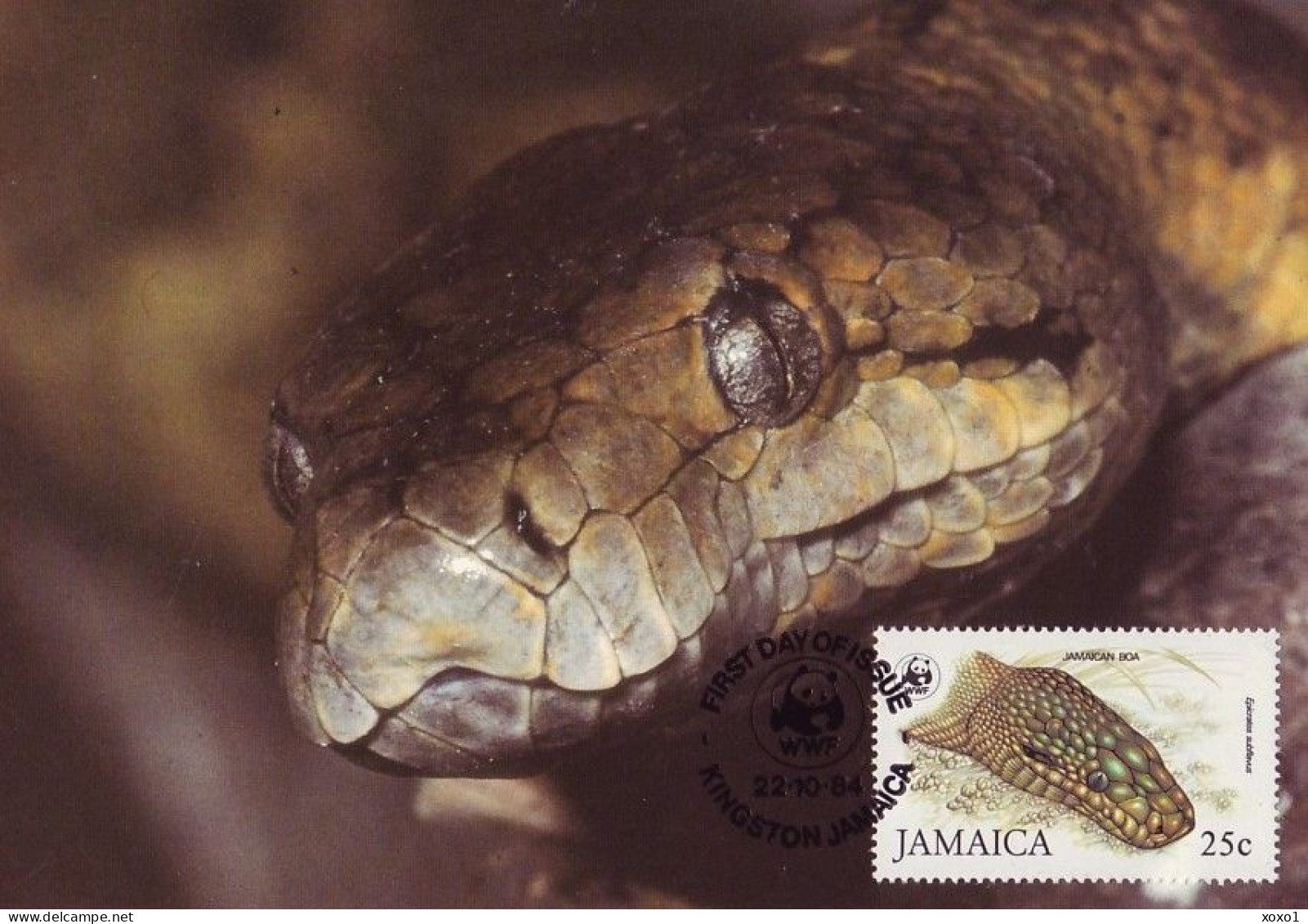 Jamaica 1984 MiNr. 591 - 94 Jamaika WWF REPTILES Jamaican Boa (Epicrates Subflavus) 4v MC 70,00 € - Serpents