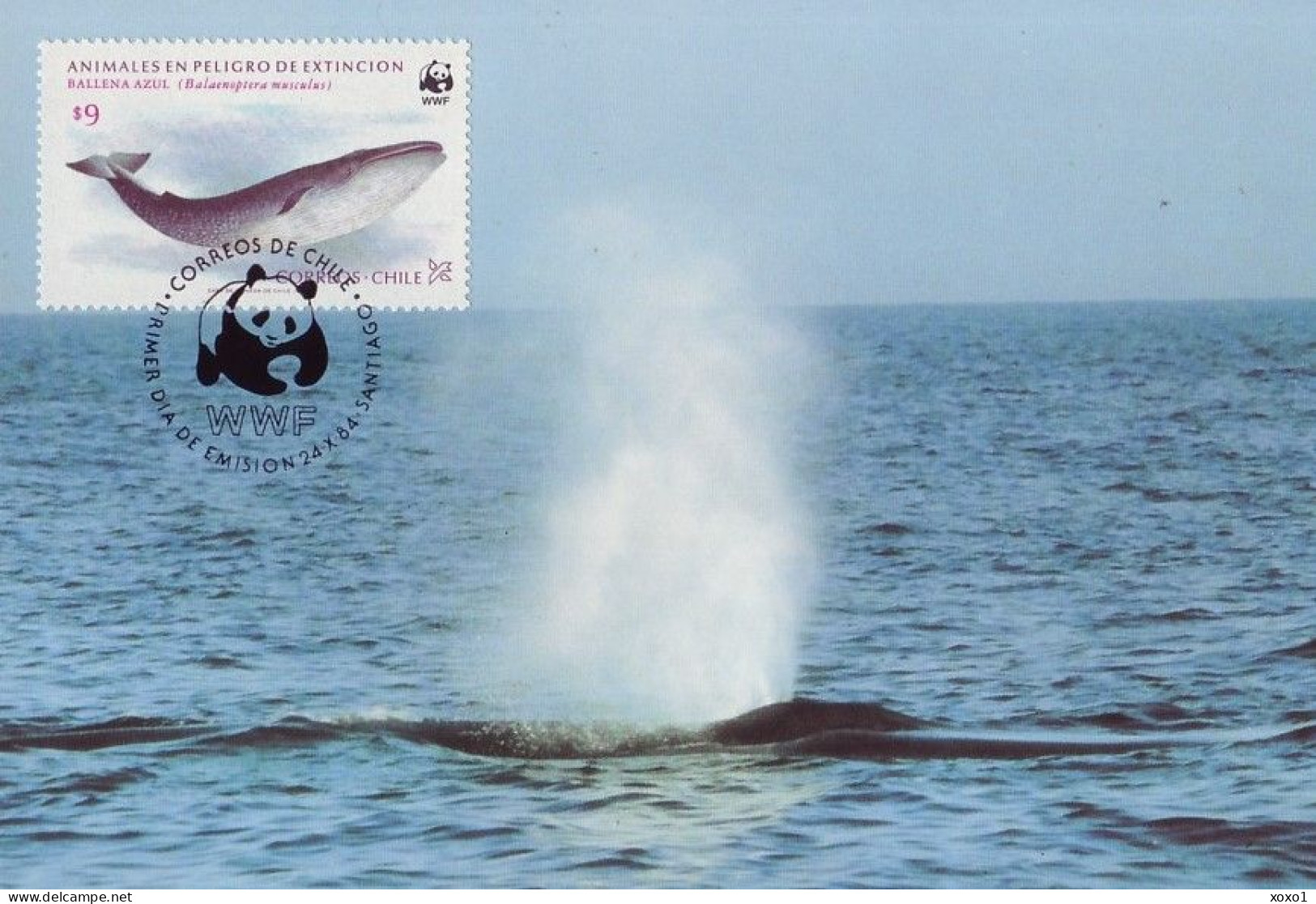 Chile 1984 MiNr. 1066 - 1069   WWF Fauna Mammals 4 MC                       28,00 € - Wale