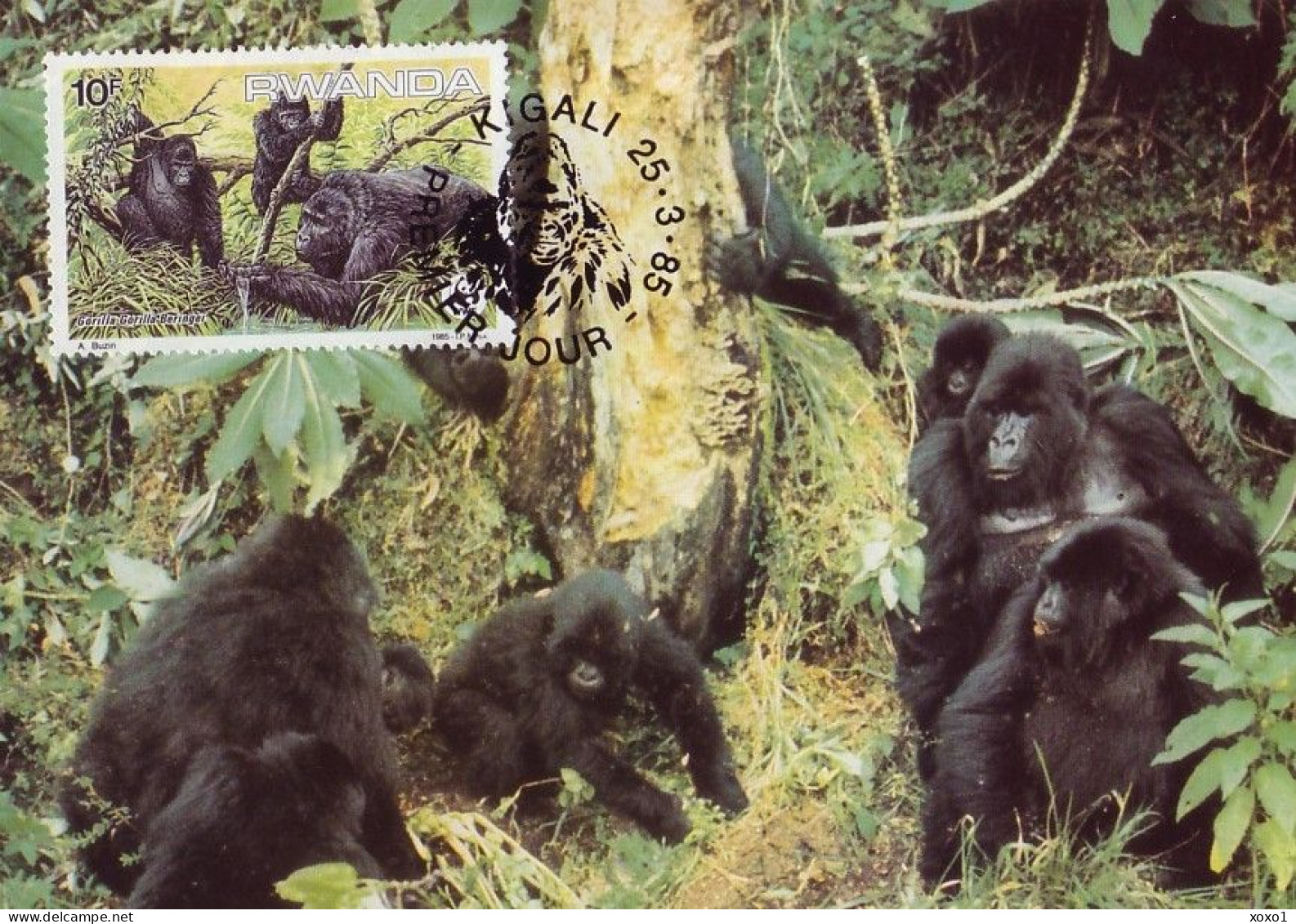Rwanda 1985 MiNr. 1292 - 1296 Ruanda WWF Monkeys Eastern Gorilla(Gorilla Gorilla Beringei) 4 MC 24,00 € - Gorilles