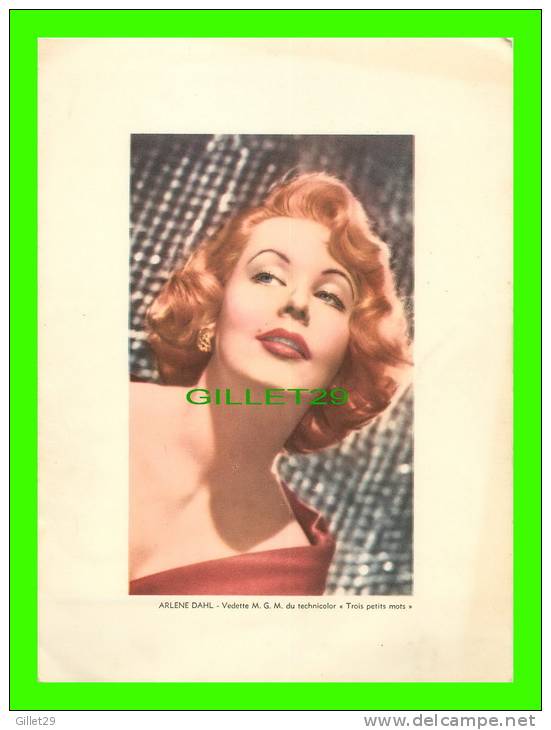 ACTRICE DE CINÉMA - ARLENE DAHL  - STAR M.G.M. - DIMENSION 13X18 Cm - FILM, TROIS PETITS MOTS - - Photos