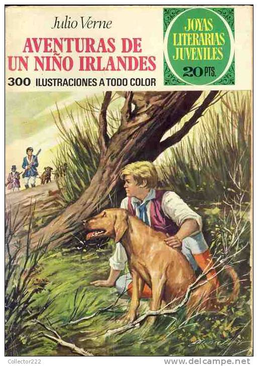 Bande Desinee AVENTURAS DE UN NIÑO IRLANDES (BD, 30 Pages), De Jules Verne (Col.Joyas Literarias) (Ref.93690) - Autres & Non Classés