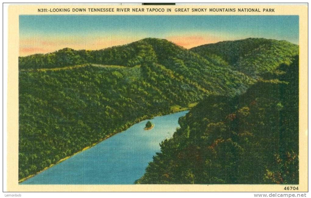 USA – United States – Looking Down Tennessee River Near Tapoco, Great Smoky Mountains National Park, Postcard[P6026] - Smokey Mountains