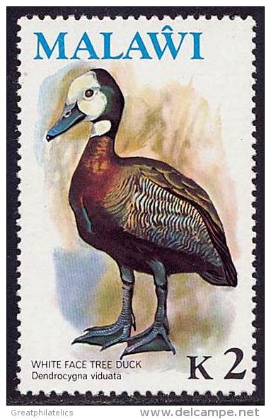 MALAWI BIRDS DUCK SC# 244 HIGH VALUE VF MNH SC CV$14- - Malawi (1964-...)