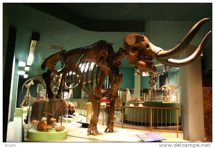 05A  012    @   Fossil  Mammoth Mammuthus   ( Postal Stationery , Articles Postaux ) - Fossili