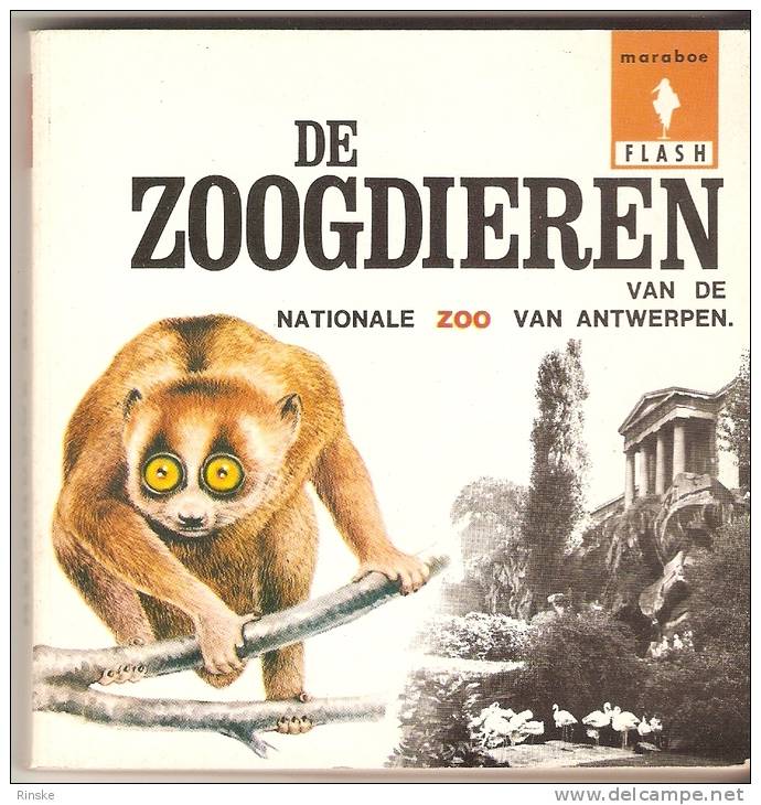 De Zoogdieren Van De Zoo Van Antwerpen - Kids
