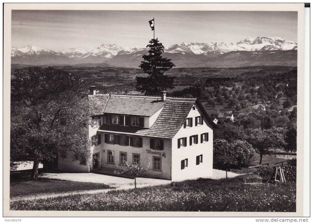 SUISSE - FORCH - Restaurant  WASSBERG En 1951 - Berg