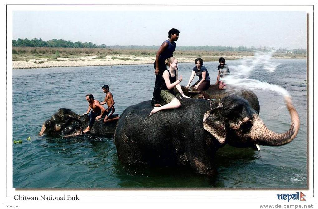 CPM NEPAL  CHITWAN NATIONAL PARK ELEPHANT BATH BAIN  (NON ECRITE) - Nepal