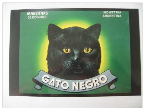 CHAT CAT KATZE GAto  Negro Manzanas De Rio Negro - Argentina