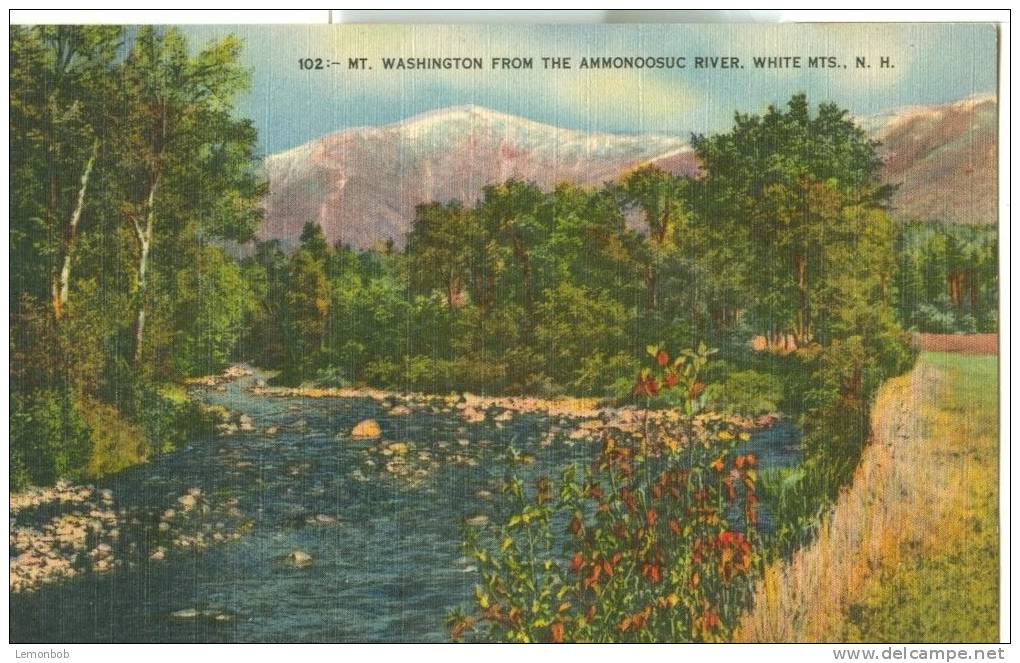 USA – United States – Mt. Washington From The Ammonoosuc River, White Mts. NH, Unused Linen Postcard [P6068] - White Mountains