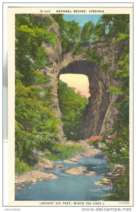 USA – United States – Natural Bridge, Virginia, Unused Linen Postcard [P6103] - Altri & Non Classificati