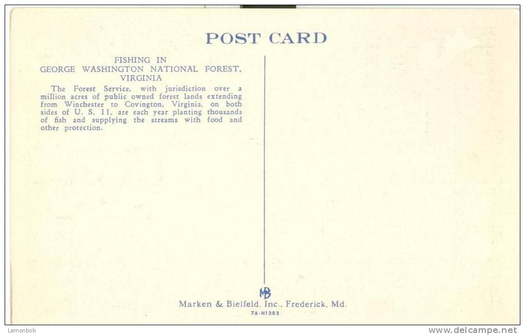 USA – United States – Fishing In George Washington National Forest, Virginia, Unused Linen Postcard [P6104] - Other & Unclassified