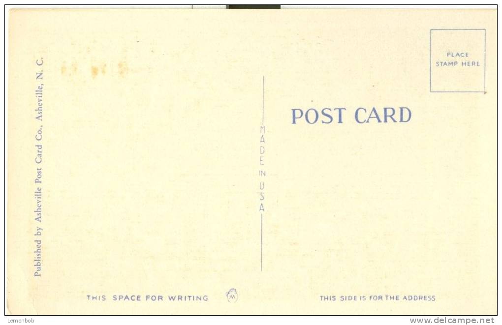 USA – United States – Apple Blossom Time, Winchester, VA, Unused Linen Postcard [P6106] - Altri & Non Classificati