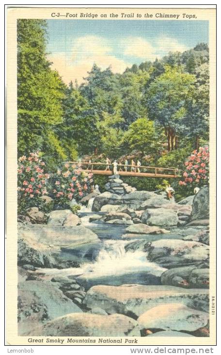 USA – United States – Foot Bridge On The Trail Of The Chimney Tops, Great Smoky Mountains National Park Postcard[P6108] - USA National Parks