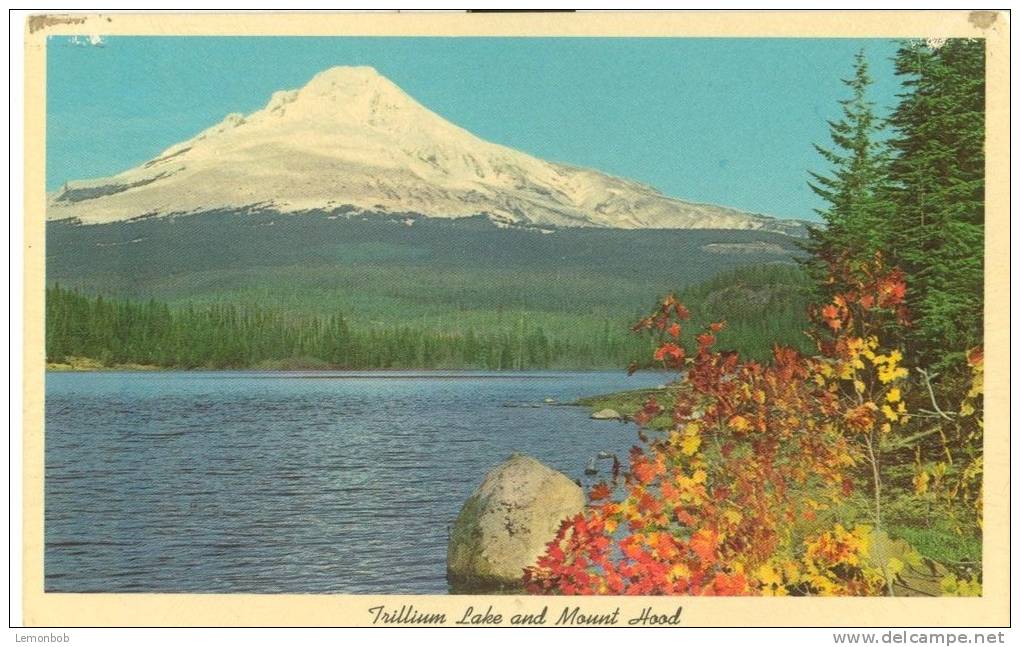 USA – United States – Trillium Lake And Mount Hood, Oregon, Unused Postcard [P6113] - Otros & Sin Clasificación