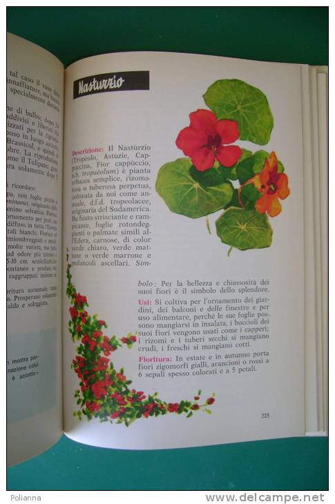 PEA/20 GIARDINO IN CASA Ed.Frate Indovino 1971/BOTANICA - Giardinaggio