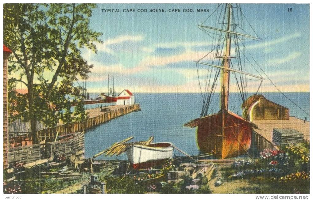 USA – United States – Typical Cape Cod Scene, Cape Cod, Mass, Unused Linen Postcard [P6132] - Cape Cod