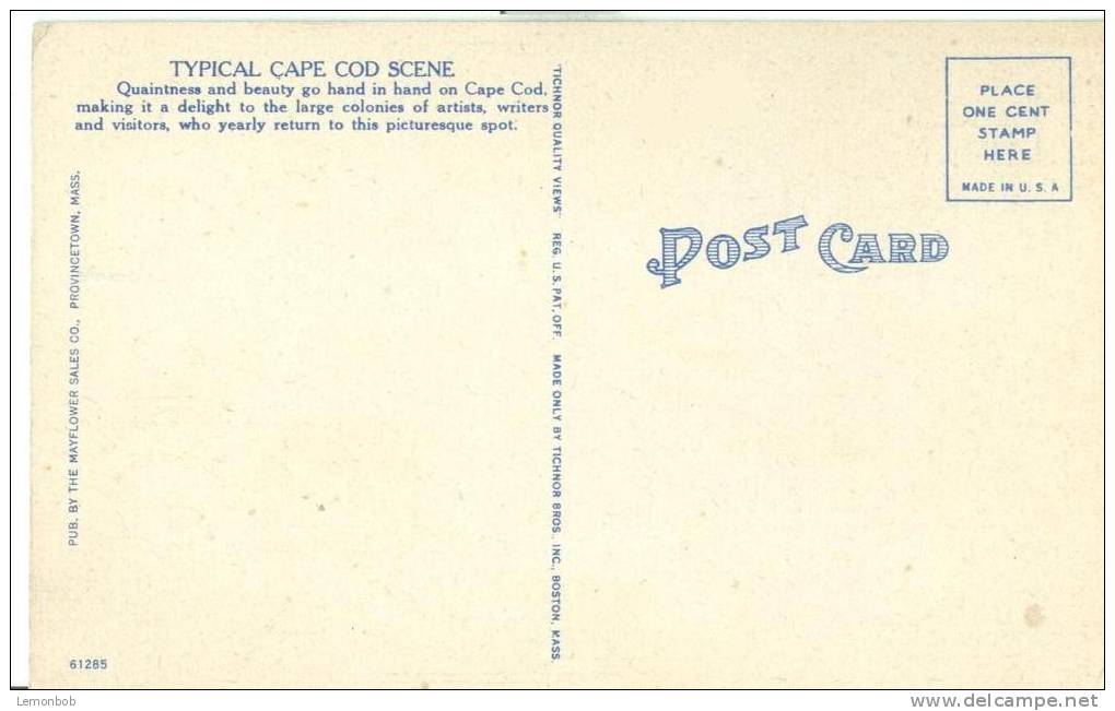 USA – United States – Typical Cape Cod Scene, Cape Cod, Mass, Unused Linen Postcard [P6132] - Cape Cod