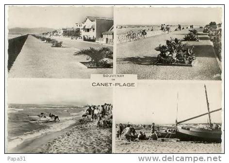 66 - Souvenir De CANET-Plage - 4 Vues - Canet En Roussillon