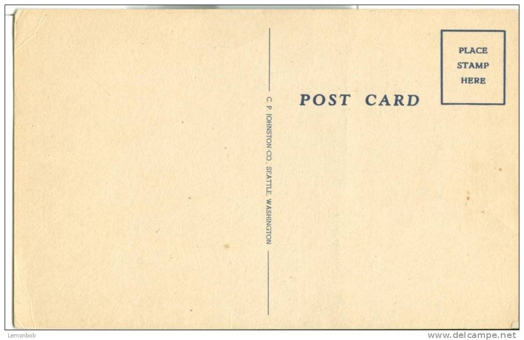 USA – United States – Seattle, Washington, Unused Linen Postcard [P6151] - Seattle