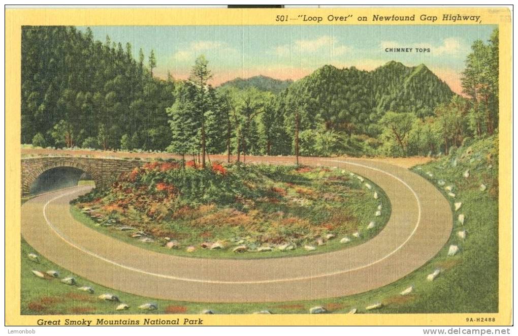 USA – United States – Loop Over On Newfound Gap Highway, Great Smoky Mountains National Park Unused Linen Postcard[P6153 - USA National Parks