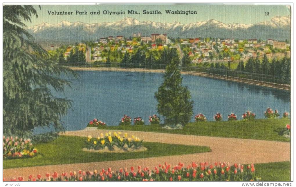 USA – United States – Volunteer Park And Olympic Mts. Seattle Washington, Unused Linen Postcard [P6166] - Seattle