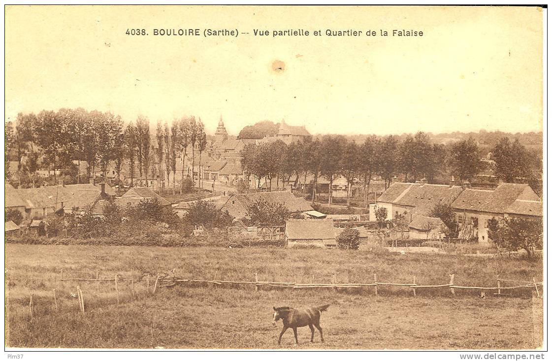 BOULOIRE - Quartier De La Falaise - Bouloire