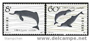China 1980 T57 Chinese River Dolphin Stamps Fauna Marine Life - Nuovi