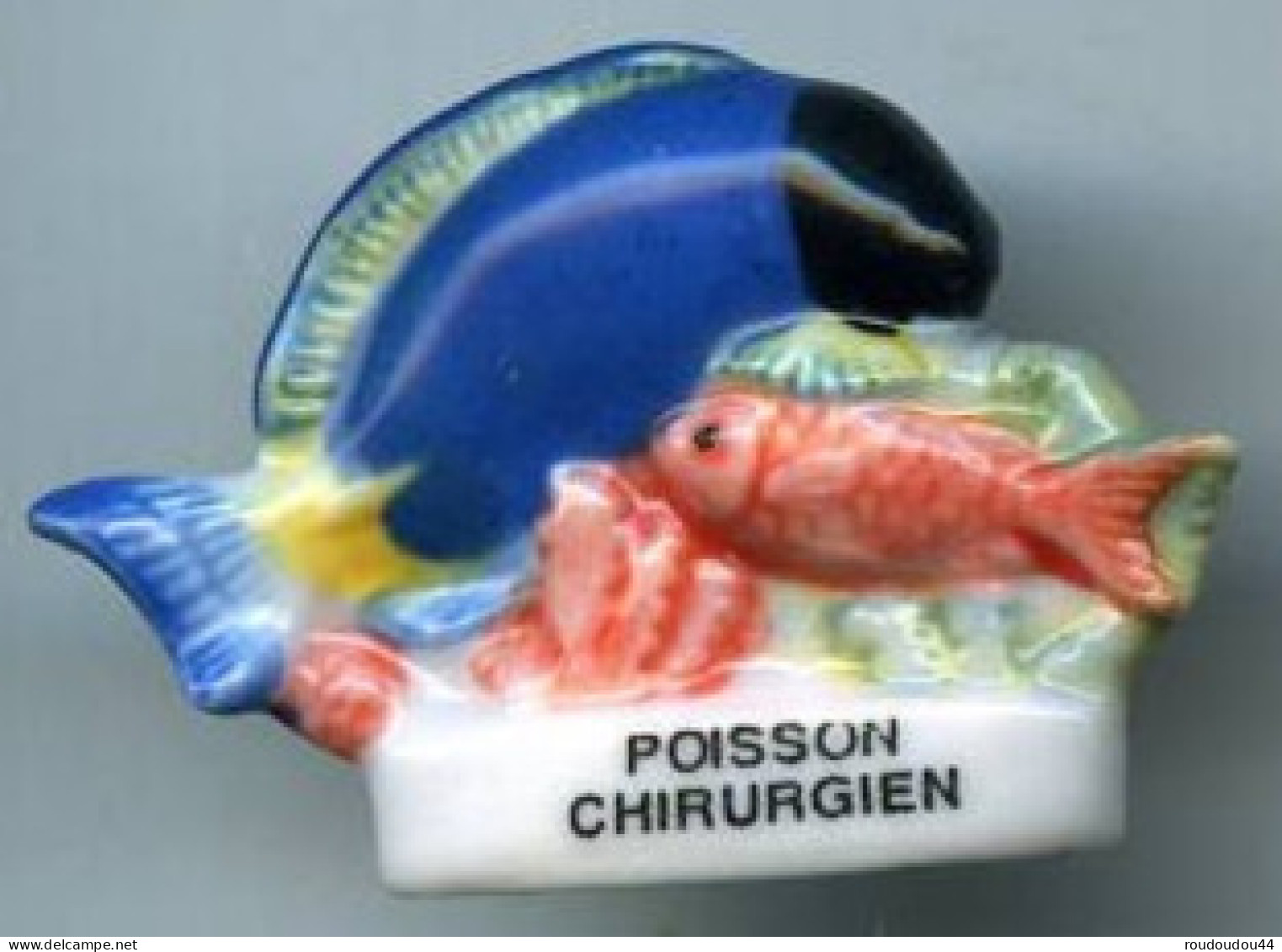 FEVES - FEVE - POISSON CHIRURGIEN - Tiere