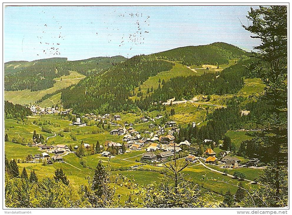 AK Höhenluftkurort/Wintersportplatz 7822 Menzenschwand/Hochschwarzwald 900 - 1400 M ü. M. 29. 9. 81 - 15 7822 ST BLASIEN - Hoechenschwand