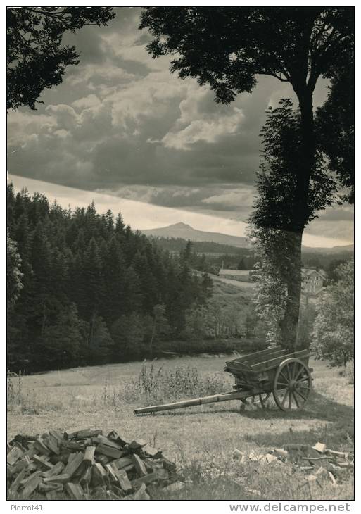 LE CHAMBON SUR LIGNON - Vue Sur Le Lisieux (1961) - Le Chambon-sur-Lignon